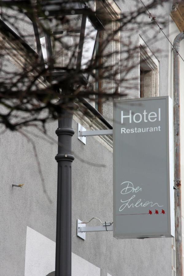 Hotel Drei Lilien Vohenstrauss Esterno foto